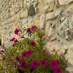 Di Cazzano - Bioluxury Living