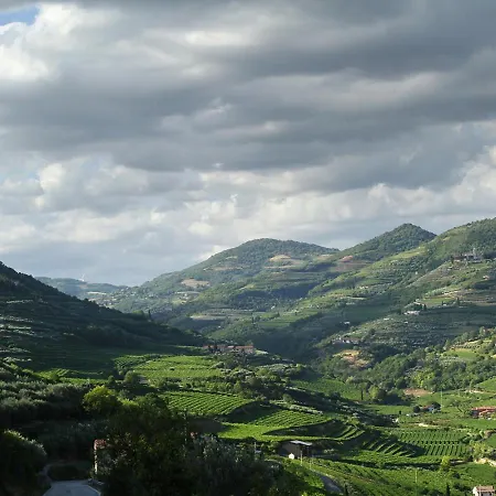 Di Cazzano - Bioluxury Living