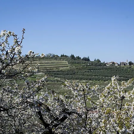 Di Cazzano - Bioluxury Living بيت ضيافة 4*