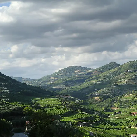 Di Cazzano - Bioluxury Living