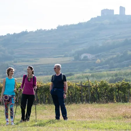 Di Cazzano - Bioluxury Living Guest house Soave (Verona)