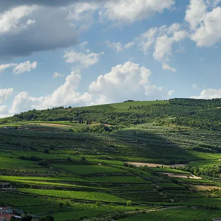 Pensjonat Di Cazzano - Bioluxury Living Soave (Verona)