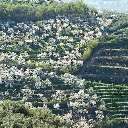 Di Cazzano - Bioluxury Living Pensjonat Soave (Verona)