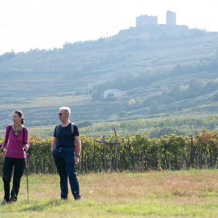 Pensjonat Di Cazzano - Bioluxury Living 4*