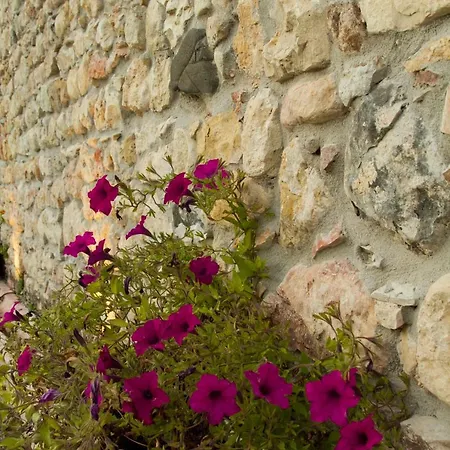 Di Cazzano - Bioluxury Living