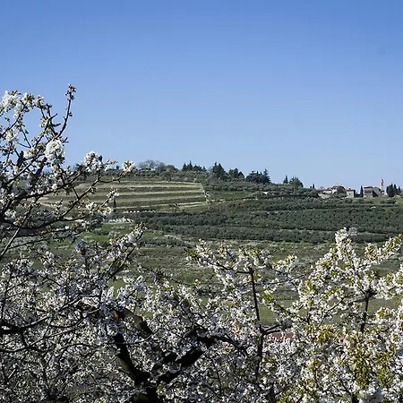 Di Cazzano - Bioluxury Living Guest house 3*